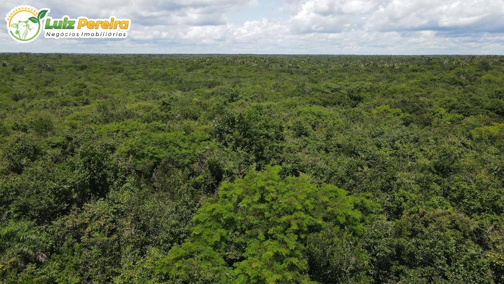 Terreno à venda, 19000m² - Foto 2
