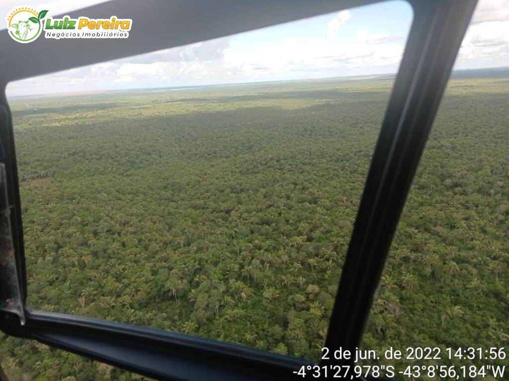 Terreno à venda, 19000m² - Foto 3