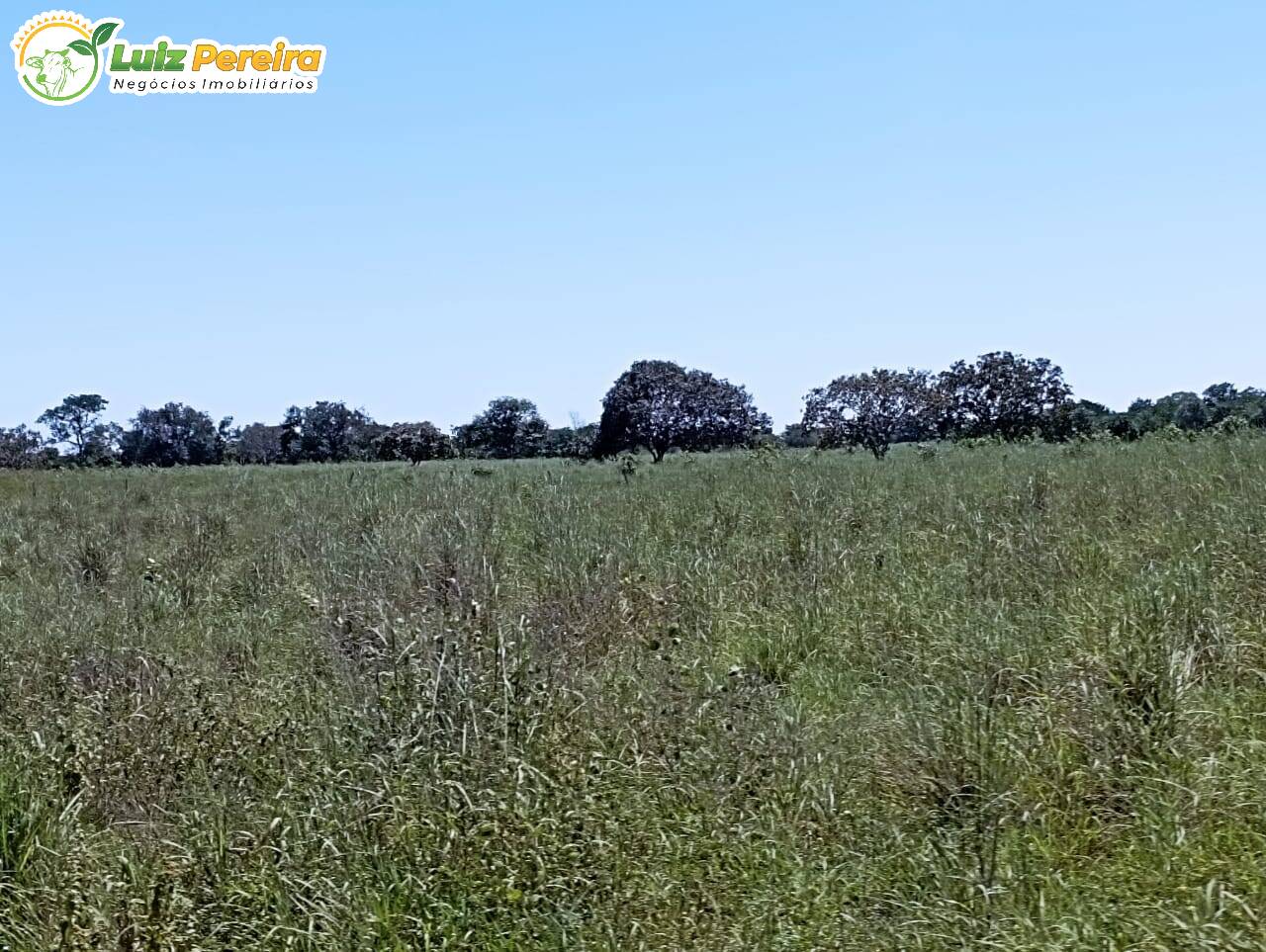 Terreno à venda, 15972000m² - Foto 5