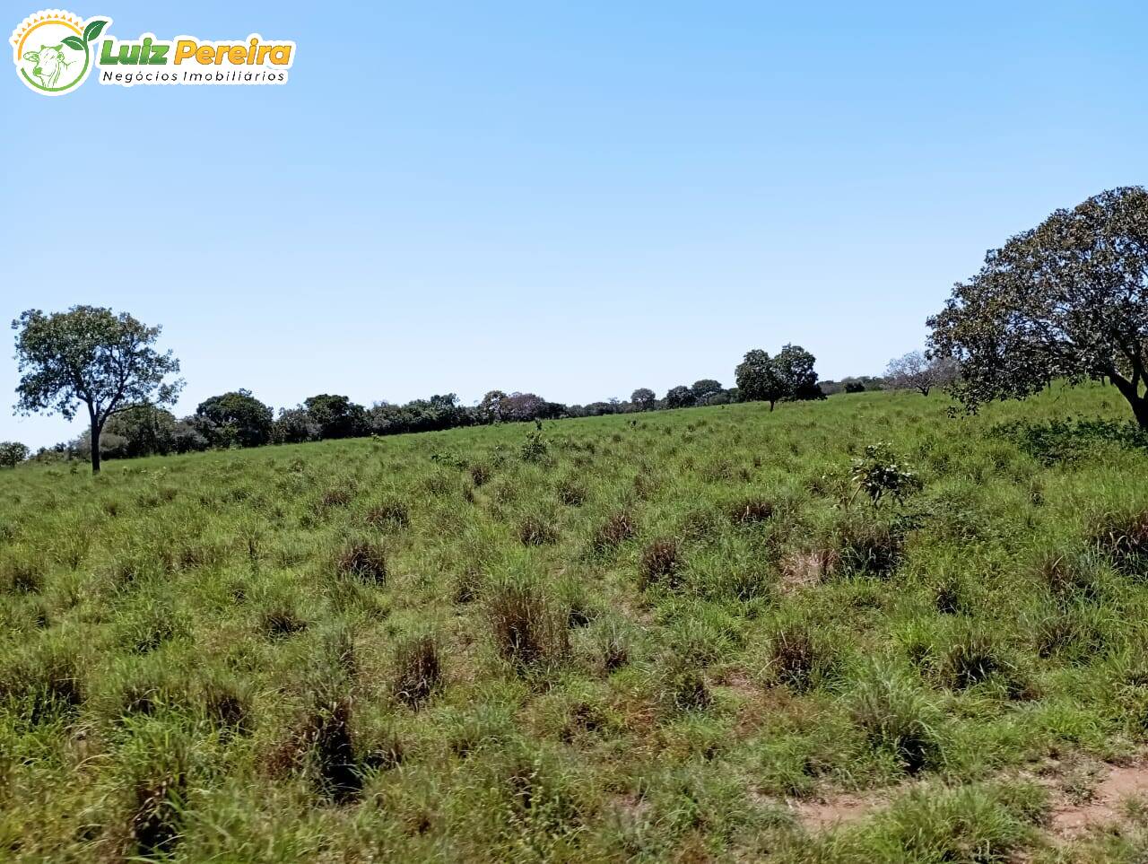 Terreno à venda, 15972000m² - Foto 2