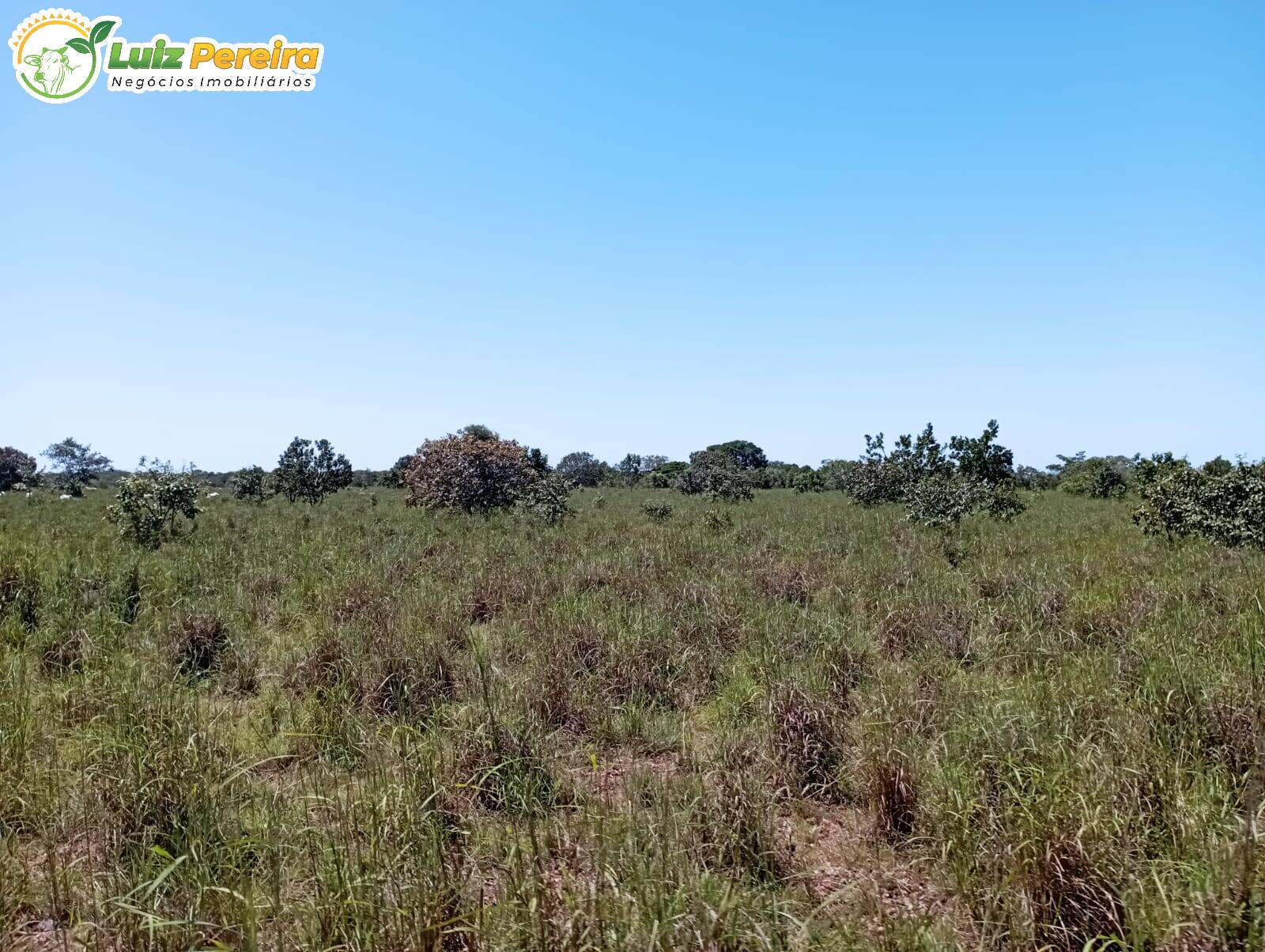 Terreno à venda, 15972000m² - Foto 6