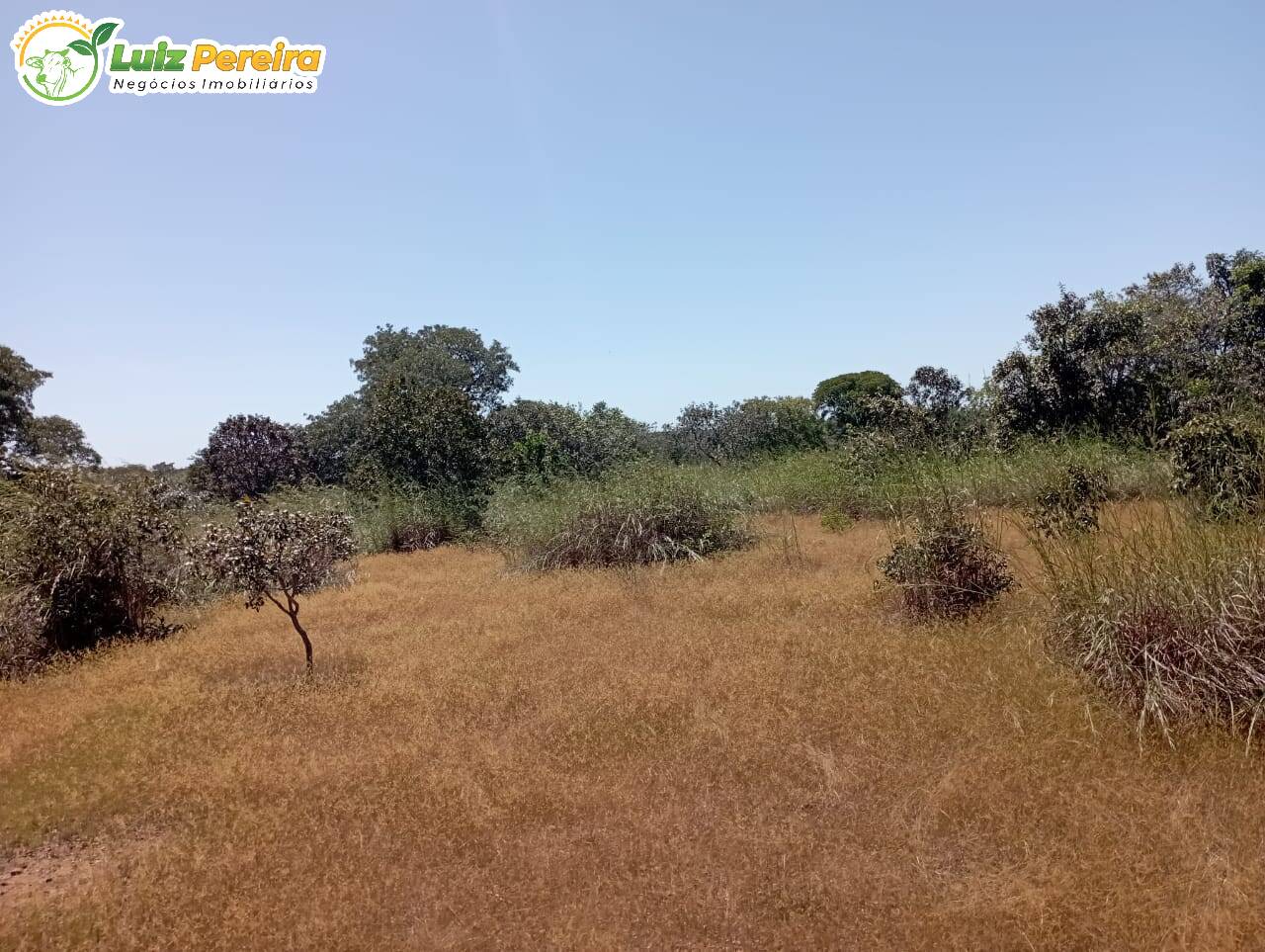 Terreno à venda, 15972000m² - Foto 19