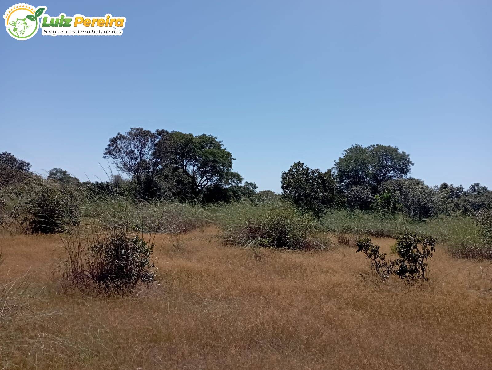 Terreno à venda, 15972000m² - Foto 18
