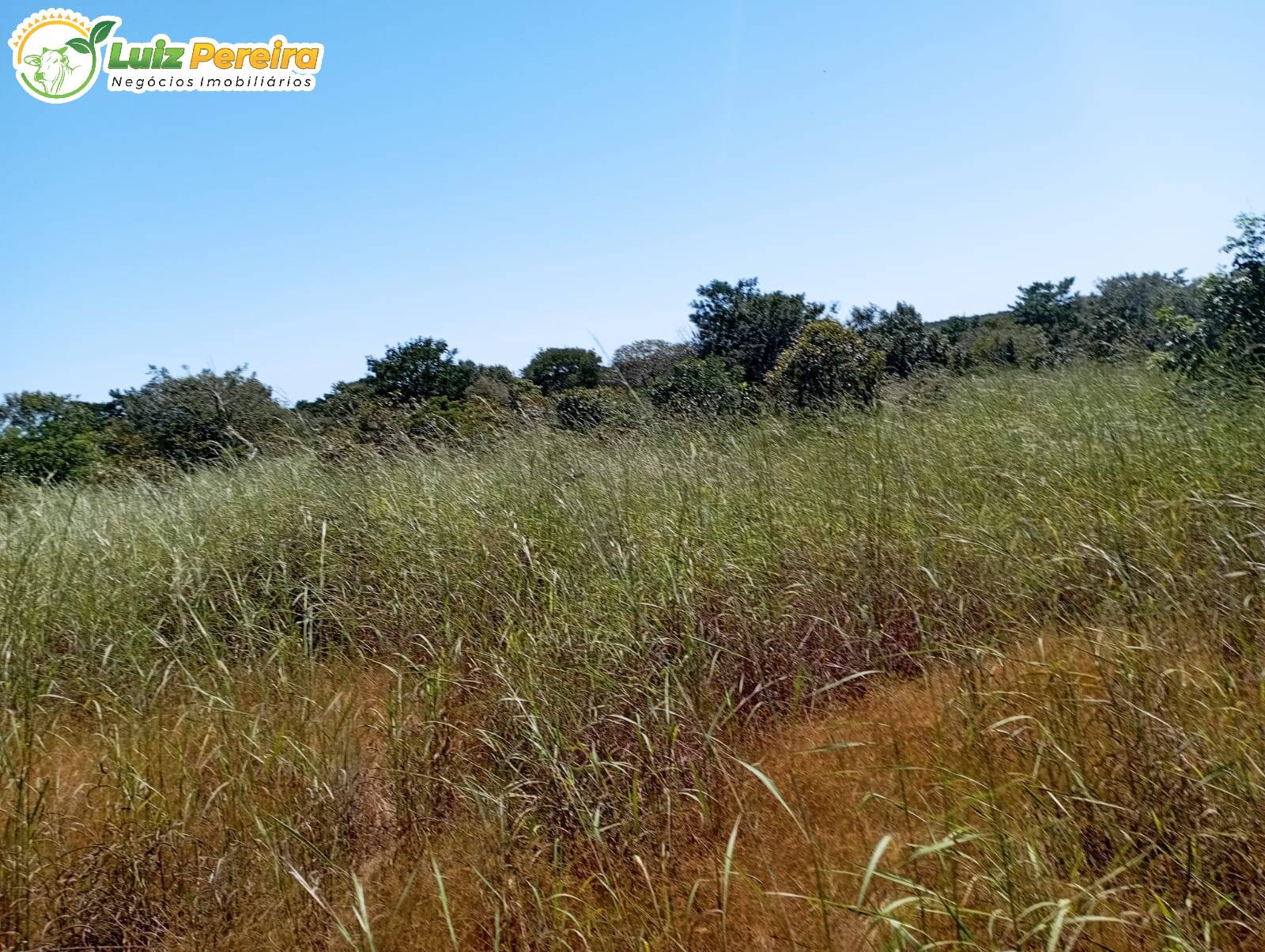 Terreno à venda, 15972000m² - Foto 7