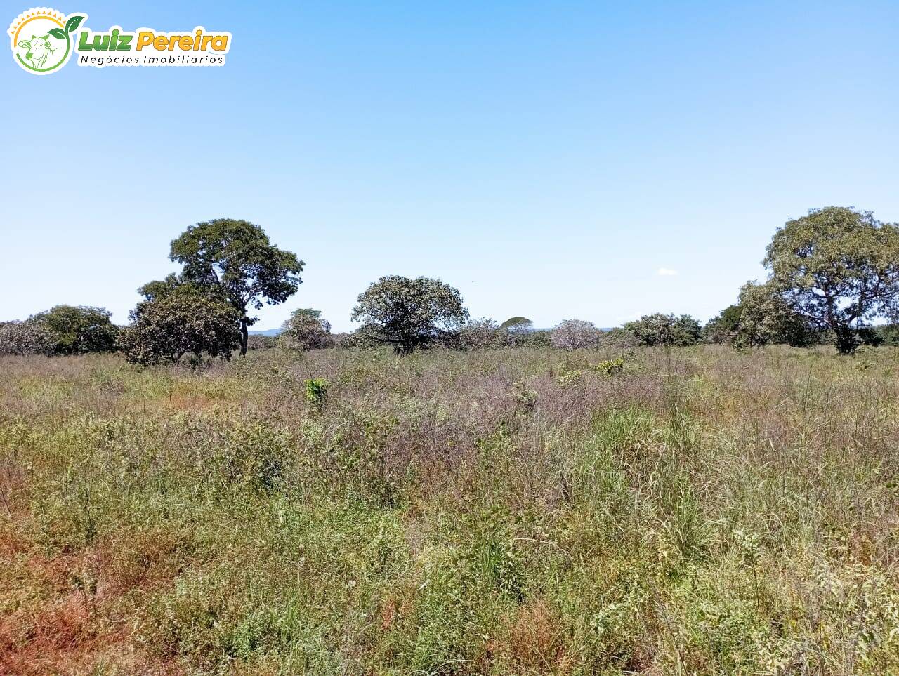 Terreno à venda, 15972000m² - Foto 9