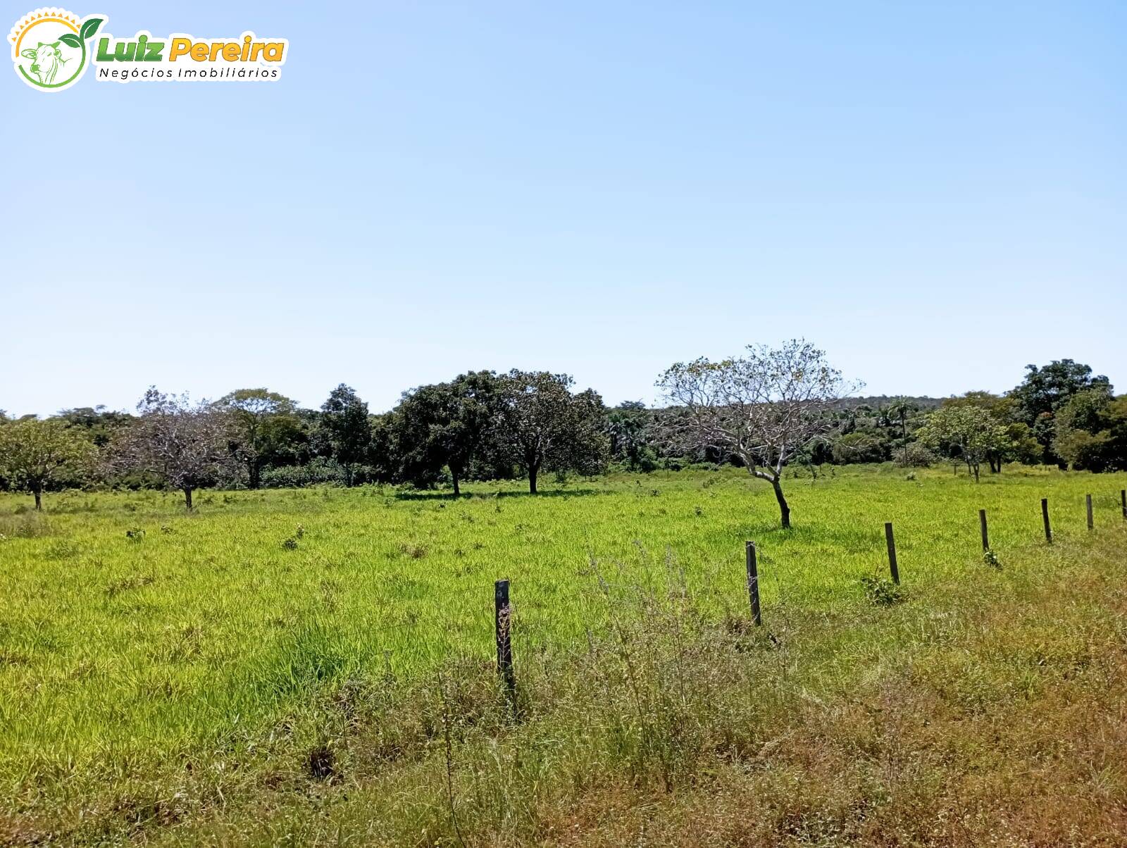 Terreno à venda, 15972000m² - Foto 8