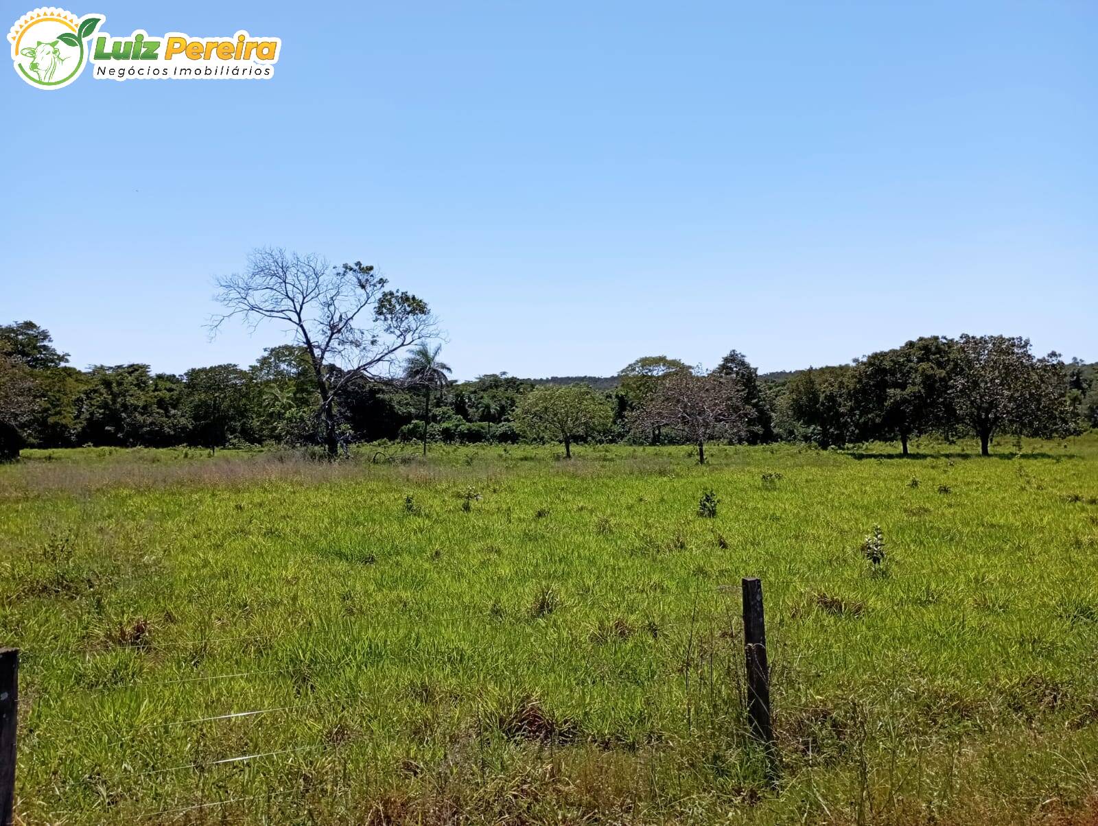 Terreno à venda, 15972000m² - Foto 1