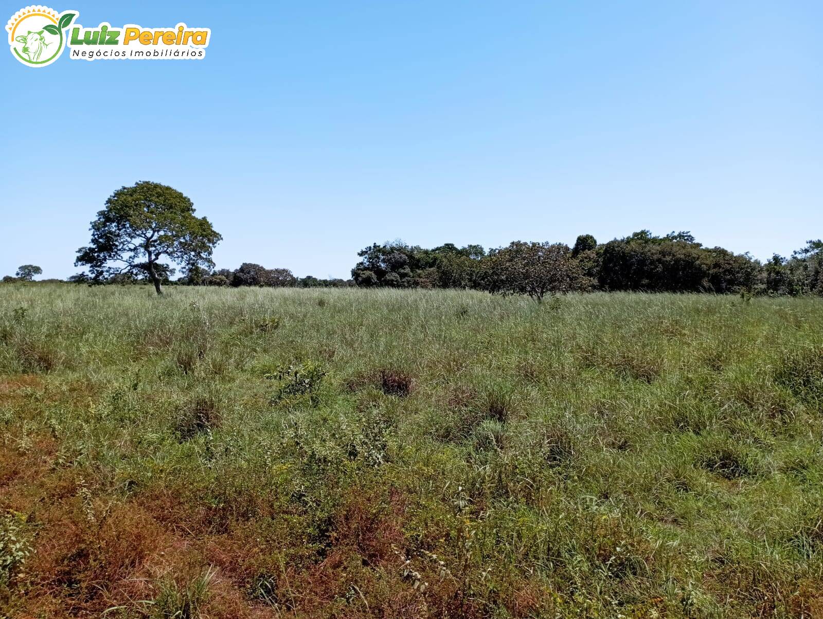 Terreno à venda, 15972000m² - Foto 10