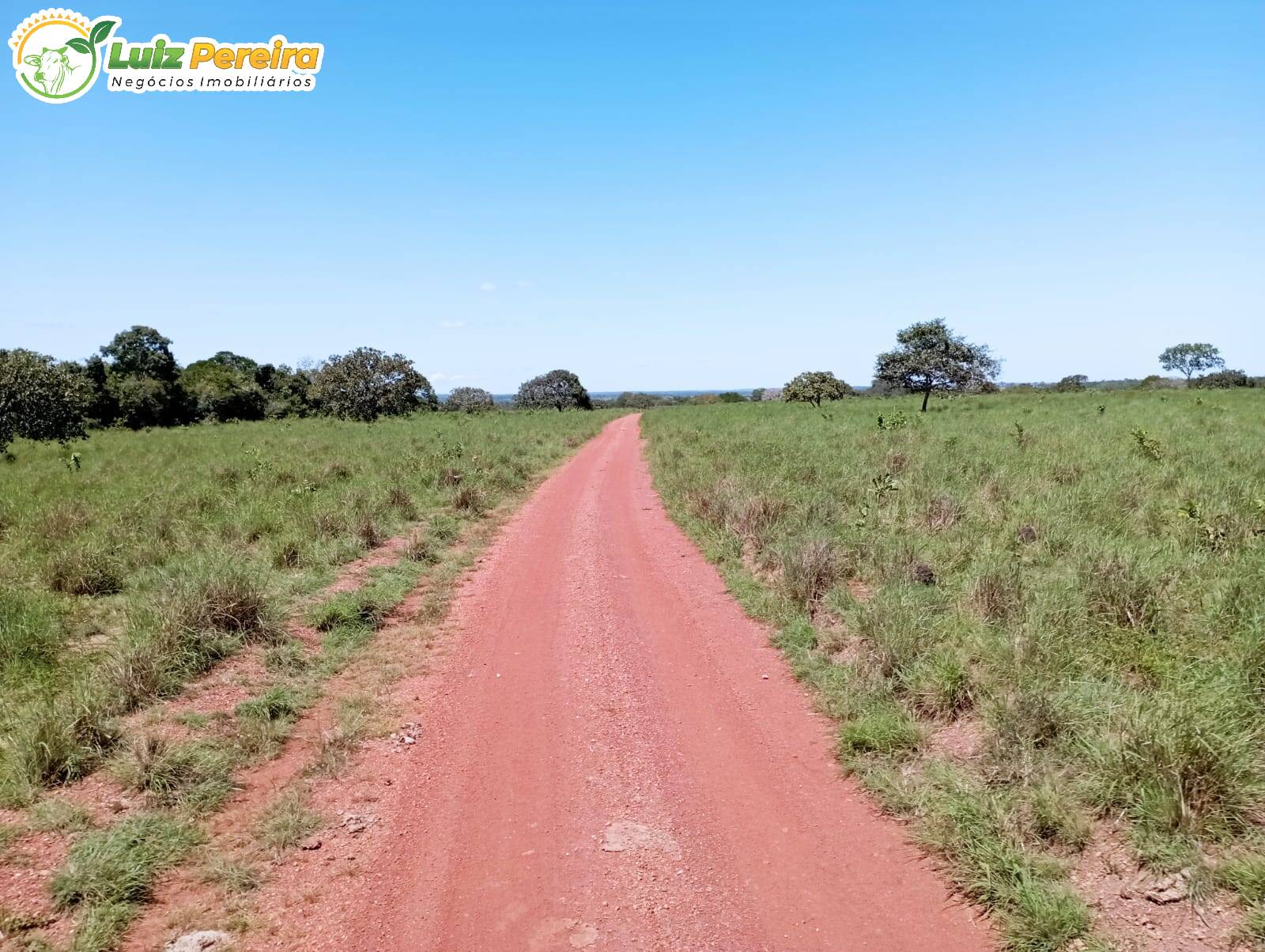 Terreno à venda, 15972000m² - Foto 22