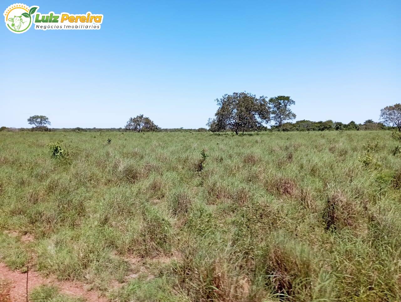 Terreno à venda, 15972000m² - Foto 11