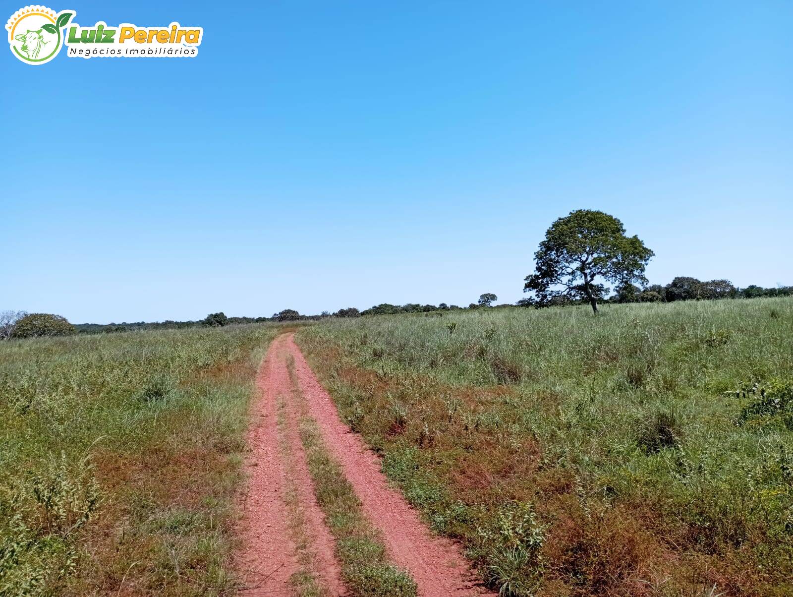 Terreno à venda, 15972000m² - Foto 23