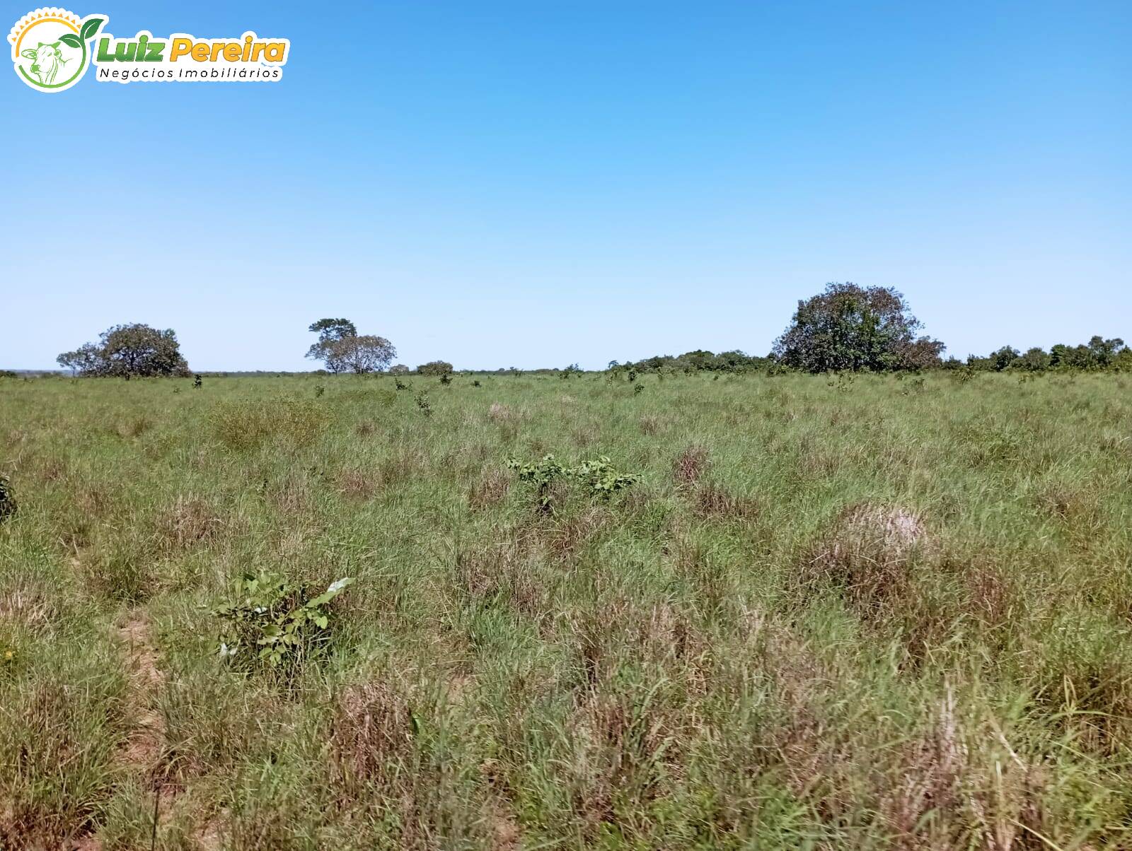 Terreno à venda, 15972000m² - Foto 12
