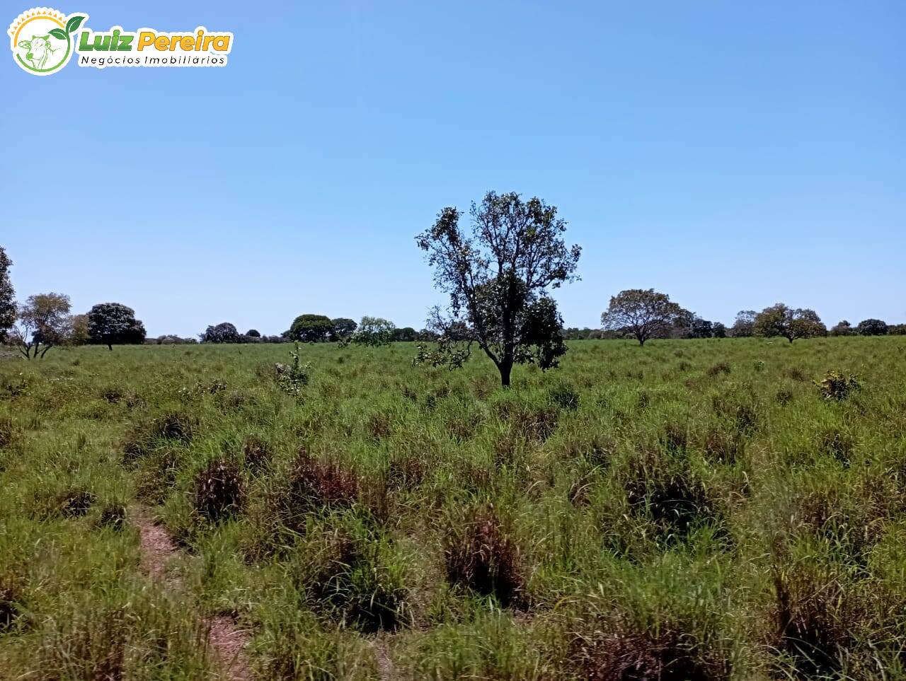 Terreno à venda, 15972000m² - Foto 13