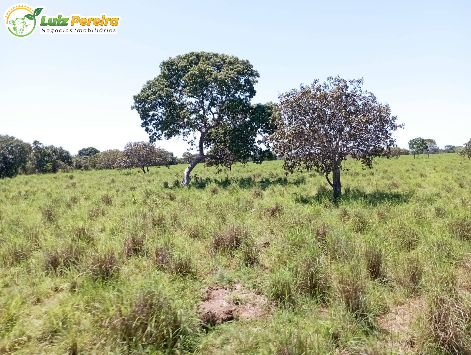 Terreno à venda, 15972000m² - Foto 16