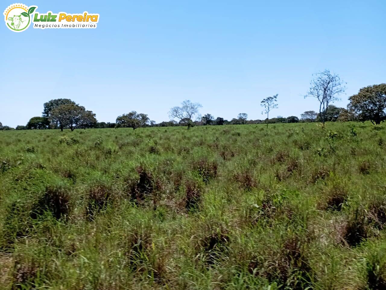 Terreno à venda, 15972000m² - Foto 15