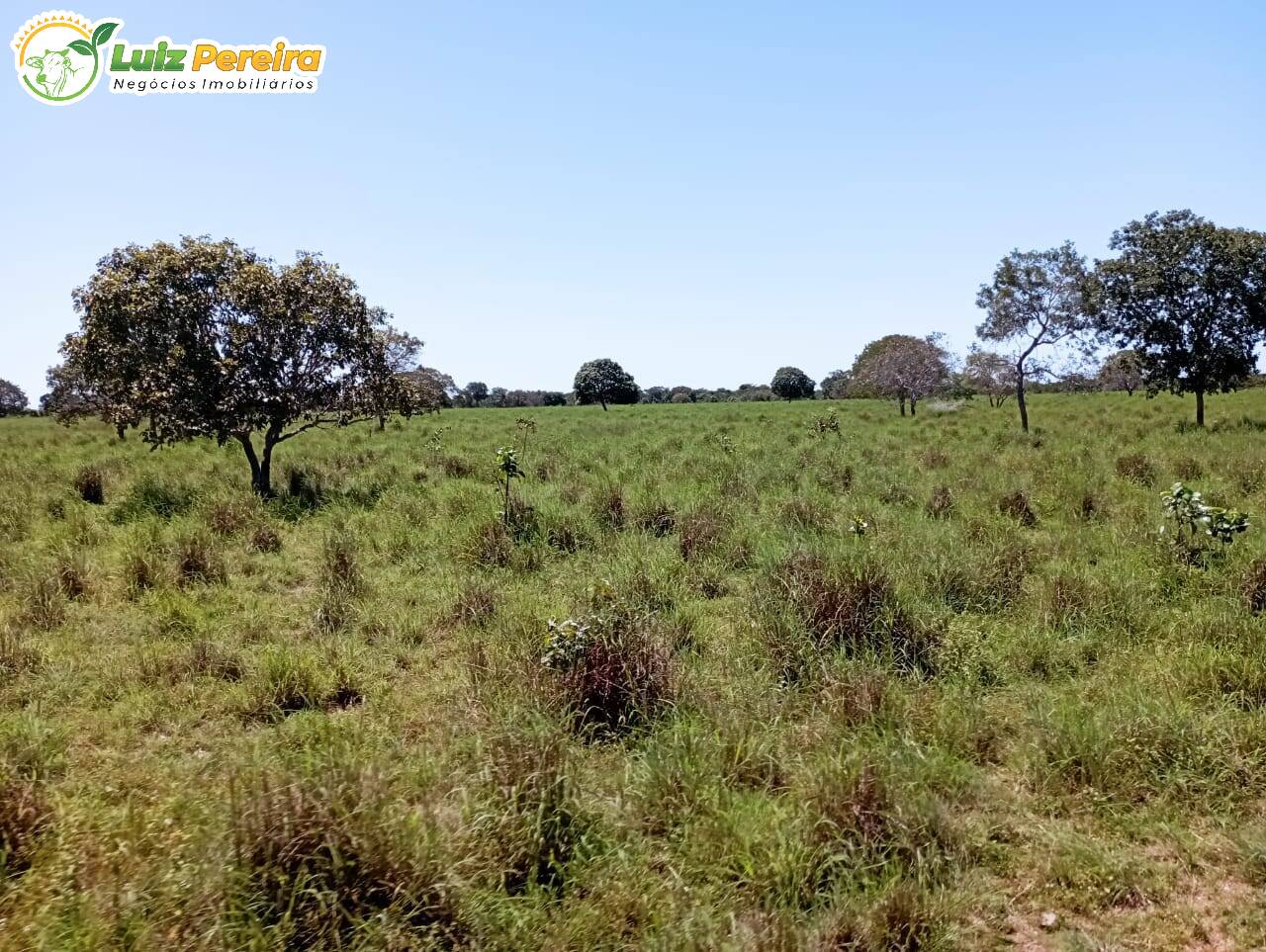 Terreno à venda, 15972000m² - Foto 14