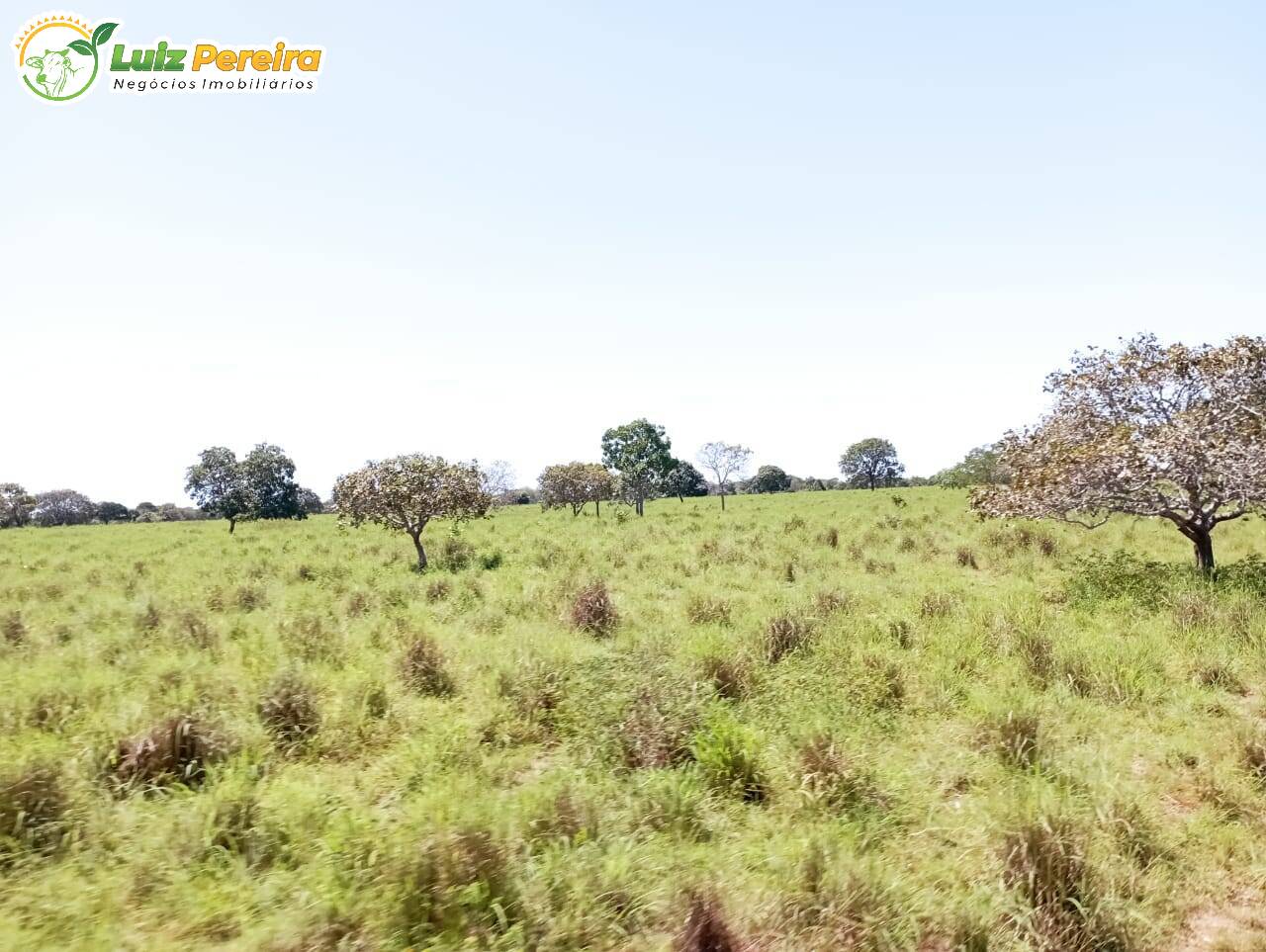 Terreno à venda, 15972000m² - Foto 4