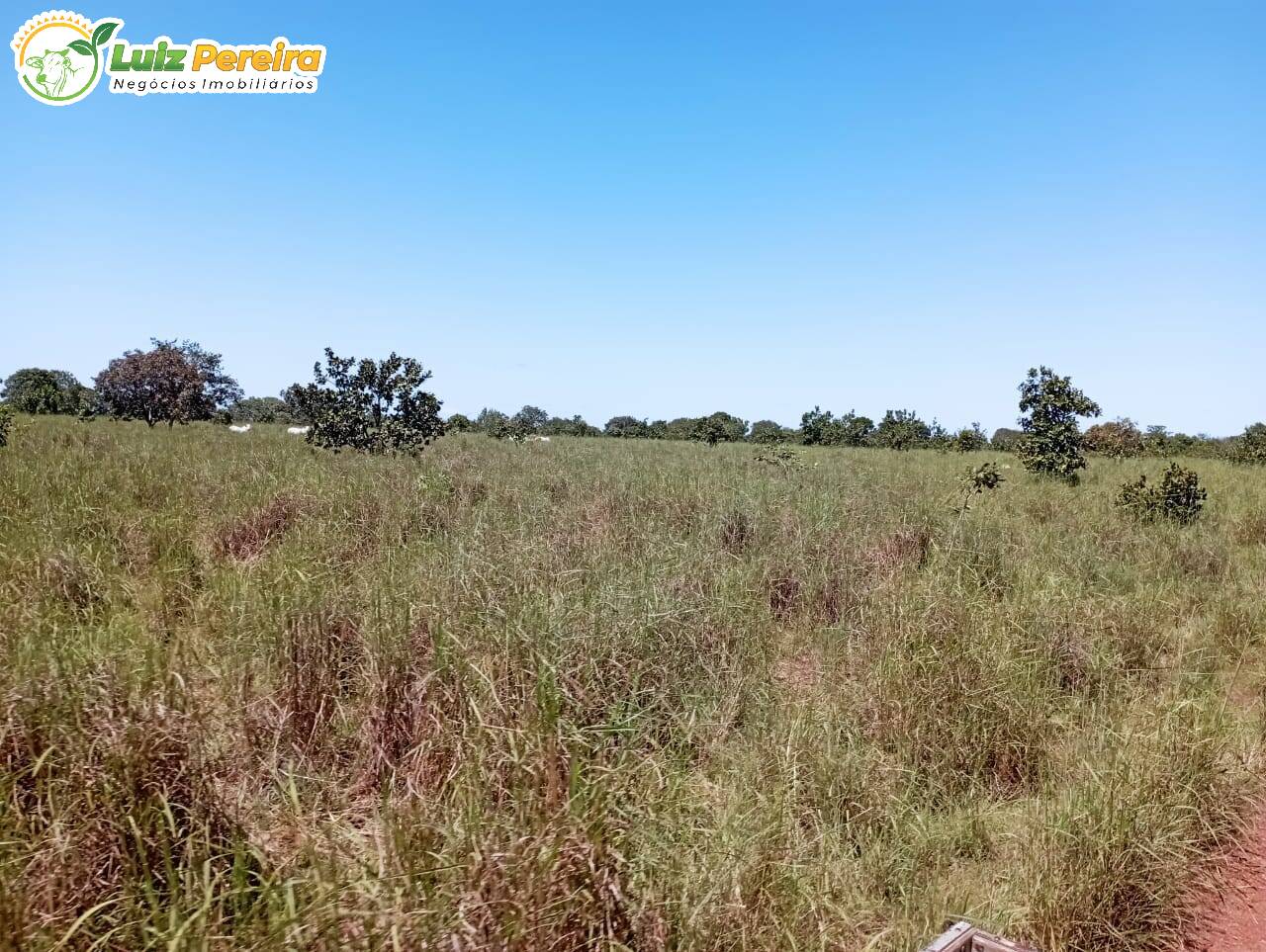 Terreno à venda, 15972000m² - Foto 24