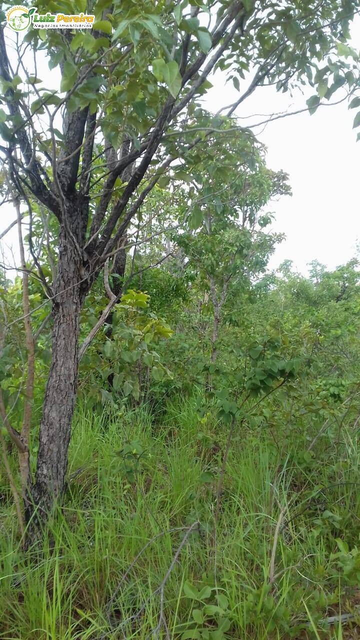 Terreno, 399 hectares - Foto 1