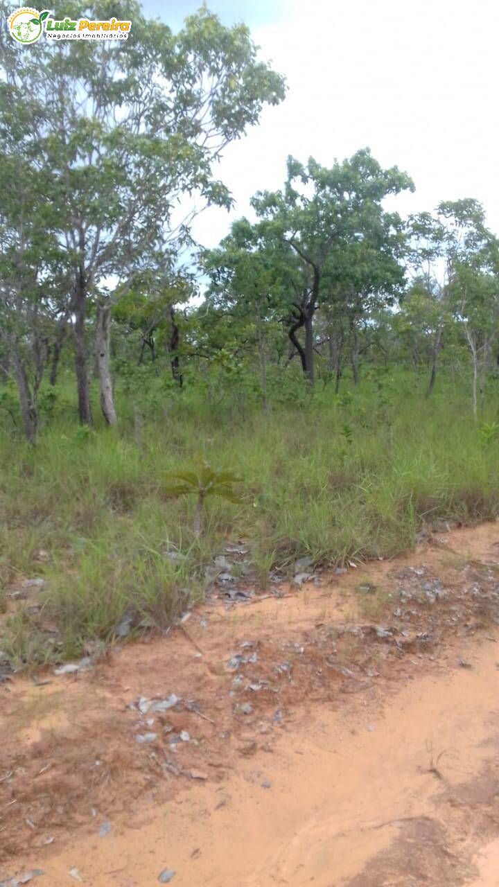 Terreno, 399 hectares - Foto 5