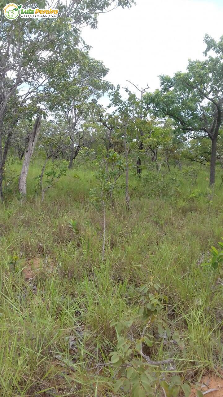 Terreno, 399 hectares - Foto 4