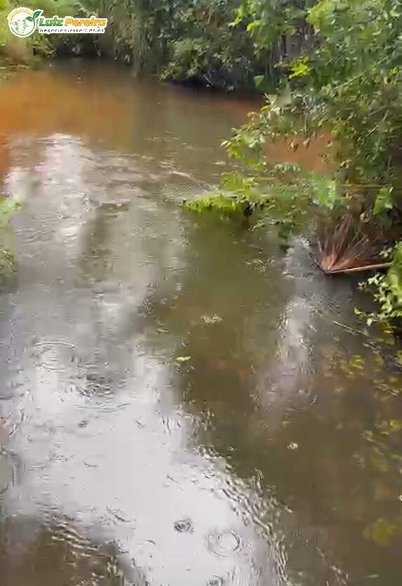 Terreno, 399 hectares - Foto 7