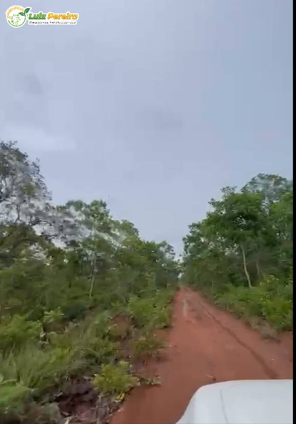 Terreno, 399 hectares - Foto 6