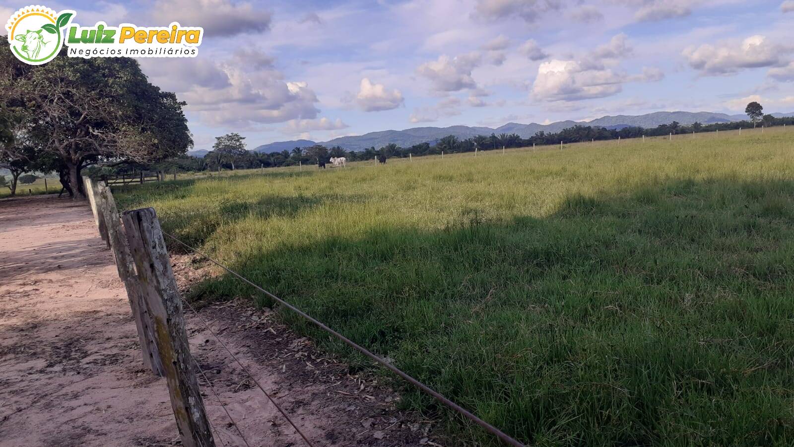 Terreno à venda, 3146m² - Foto 3