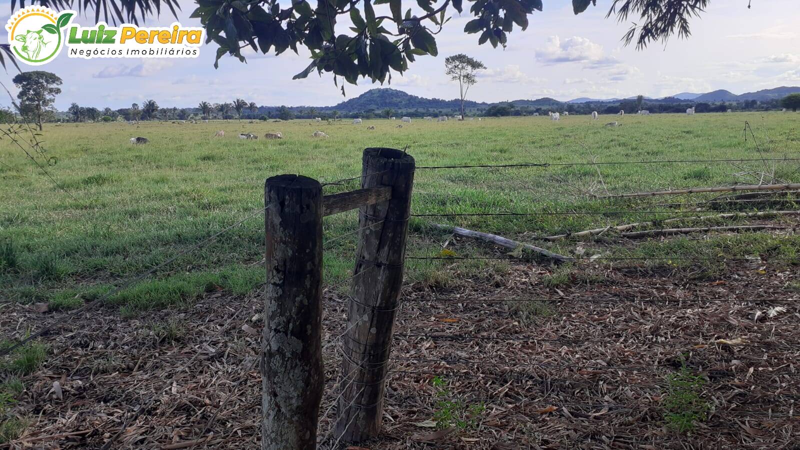 Terreno à venda, 3146m² - Foto 5