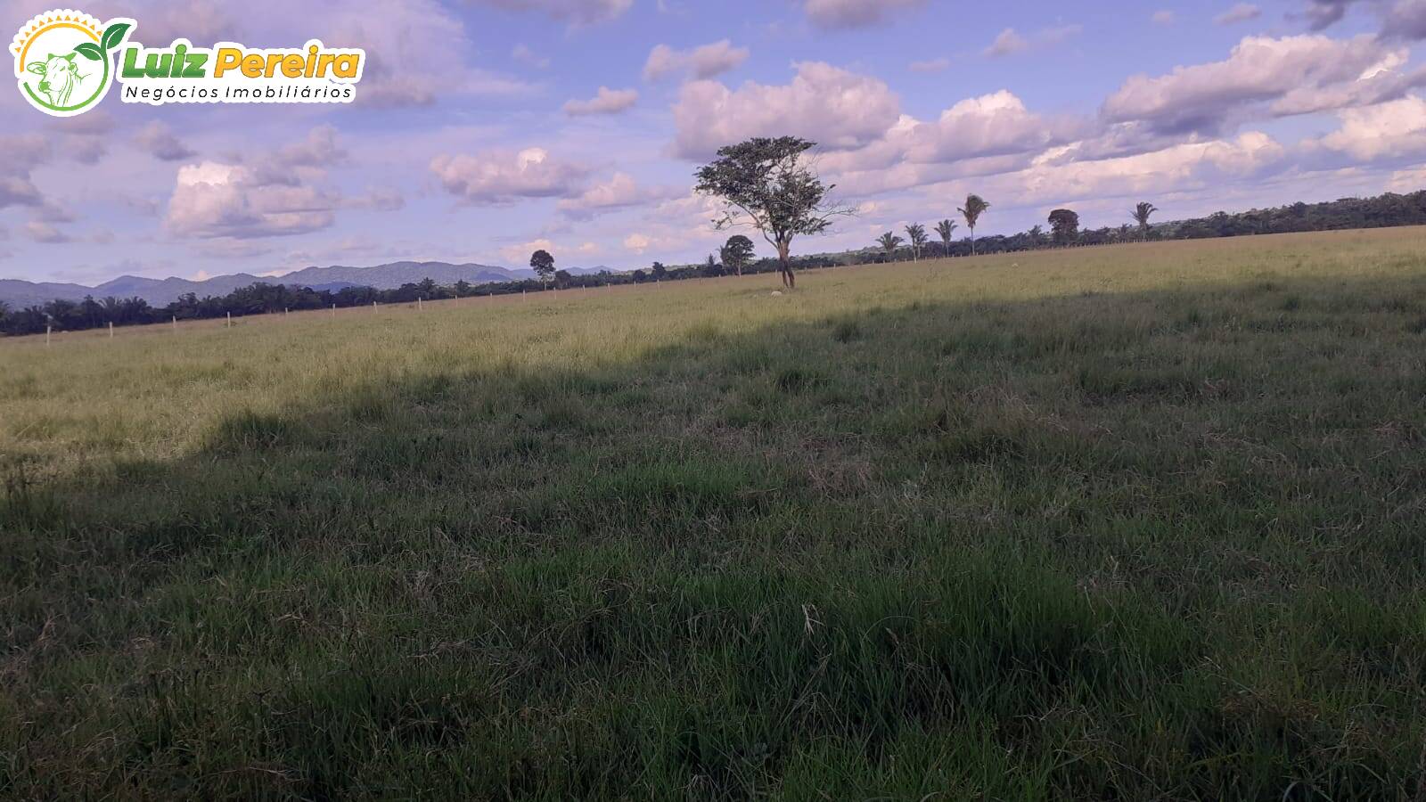 Terreno à venda, 3146m² - Foto 6
