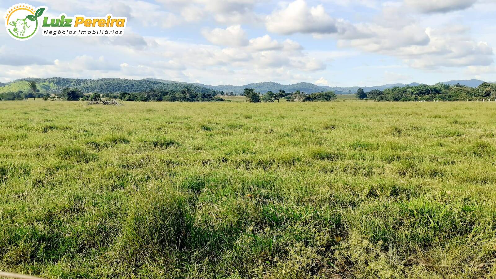 Terreno à venda, 3146m² - Foto 1