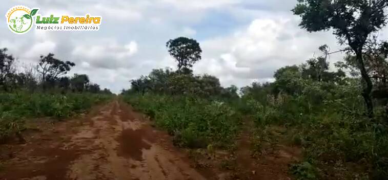 Terreno à venda, 29040000m² - Foto 9