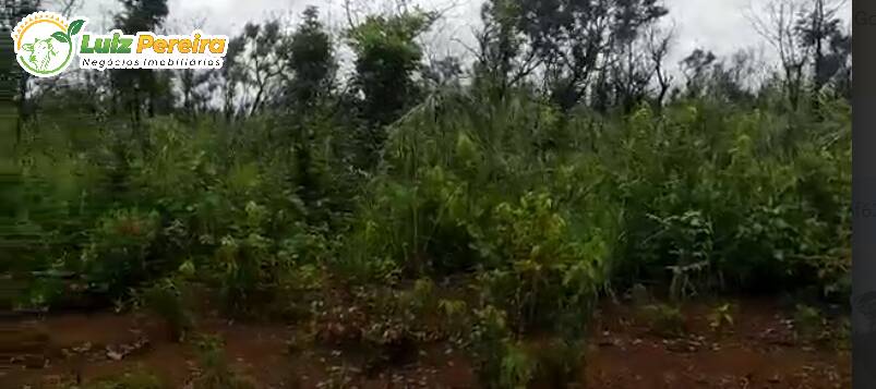 Terreno à venda, 29040000m² - Foto 3