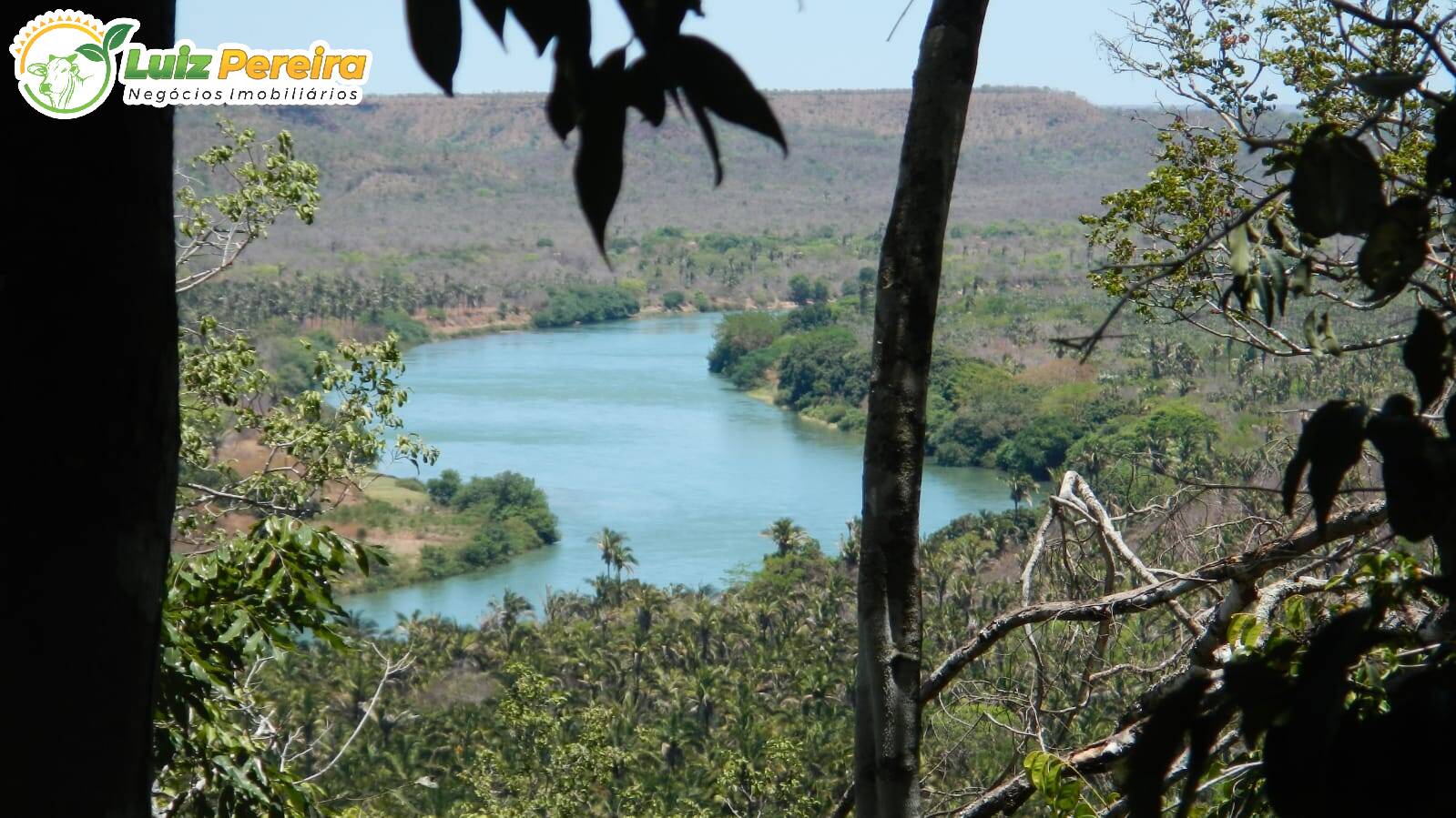 Terreno, 910 hectares - Foto 1