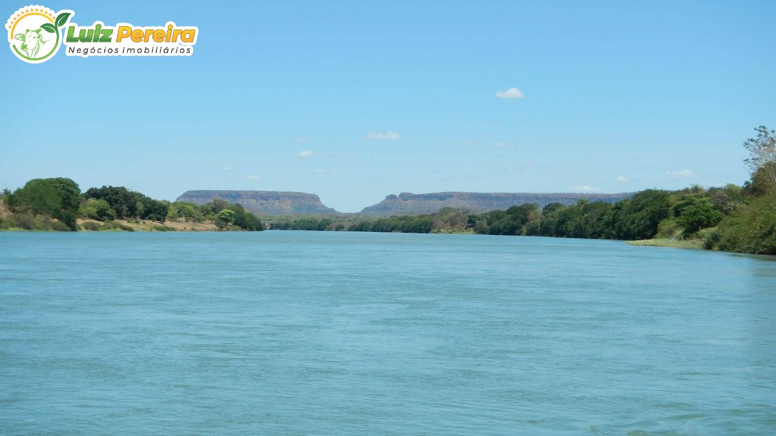 Terreno, 910 hectares - Foto 2