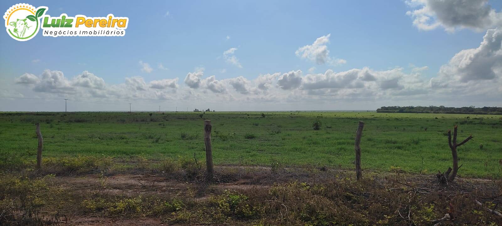 Terreno, 910 hectares - Foto 4