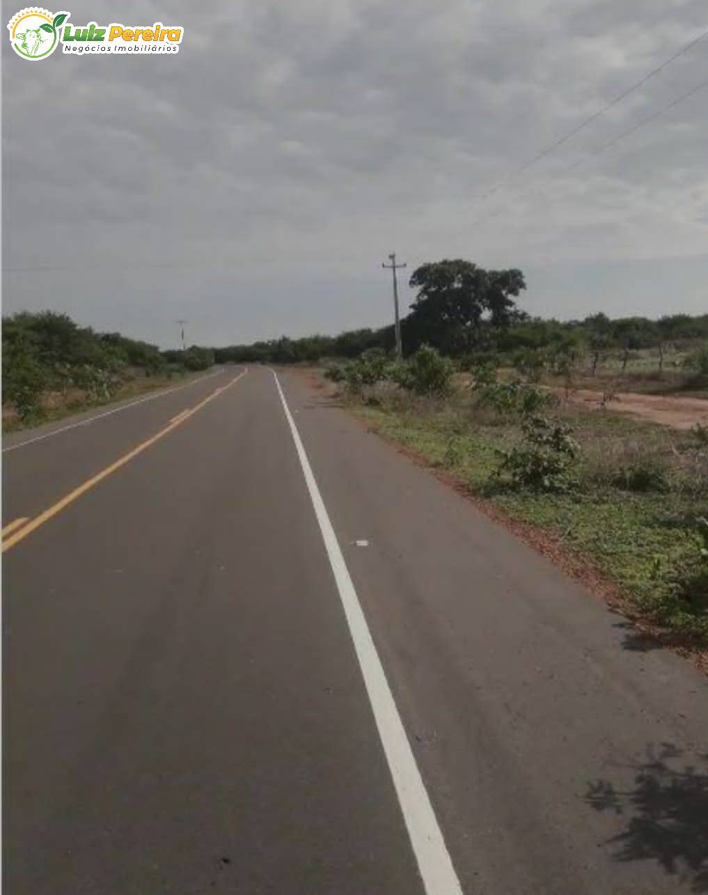 Terreno, 910 hectares - Foto 12