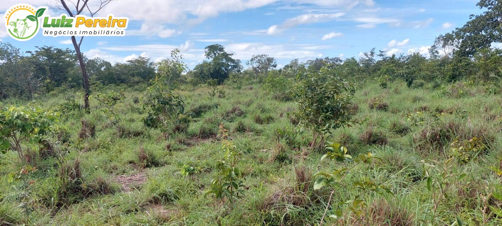 Terreno à venda, 150m² - Foto 9