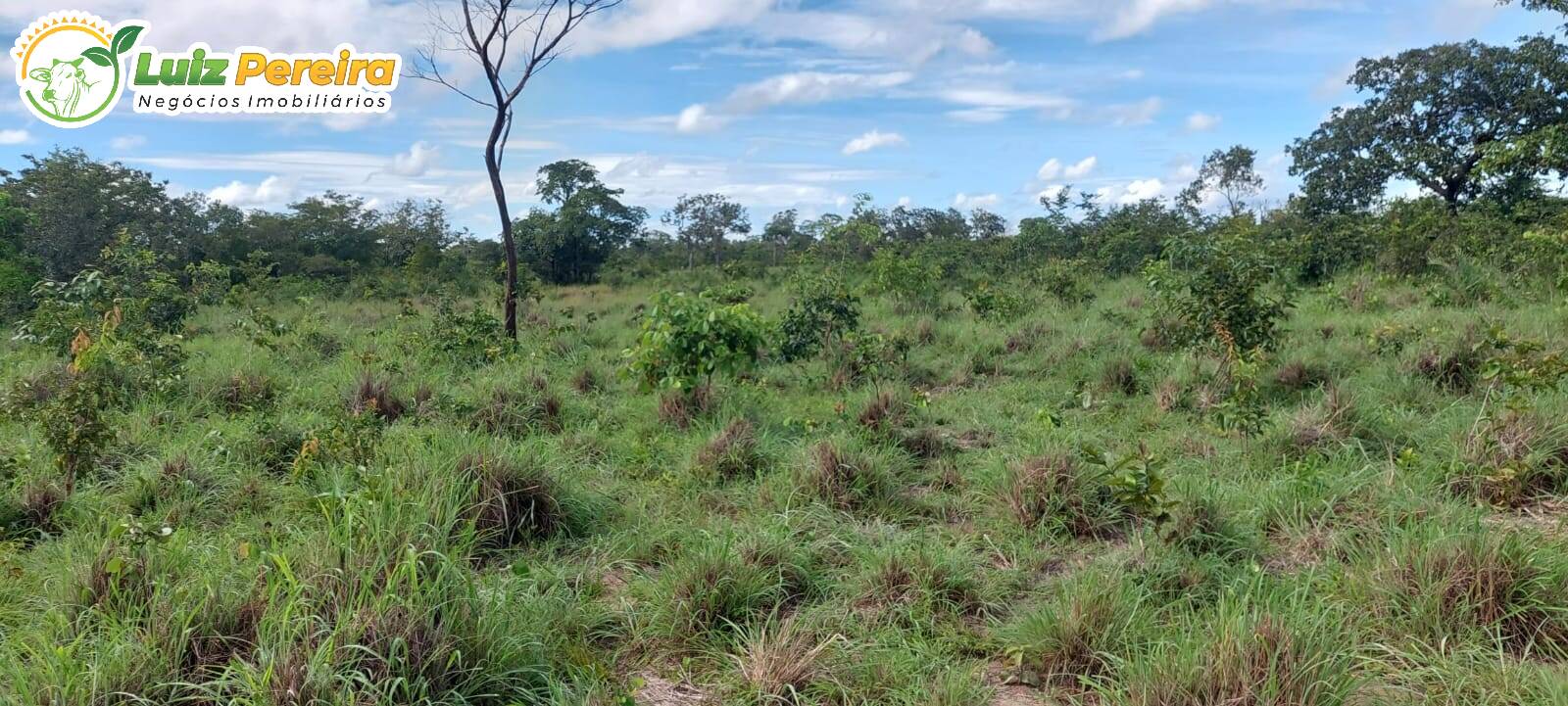 Terreno à venda, 150m² - Foto 10