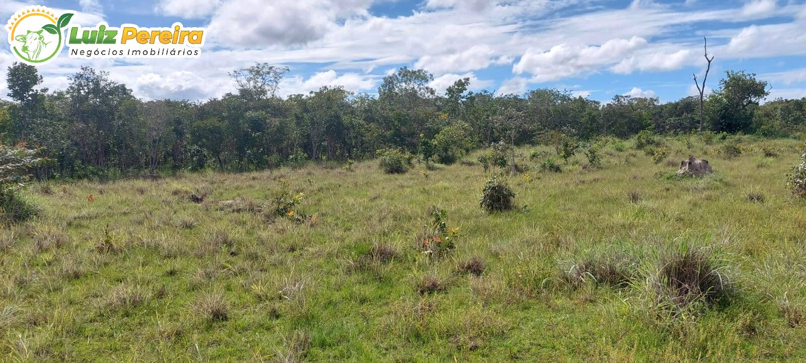 Terreno à venda, 150m² - Foto 12