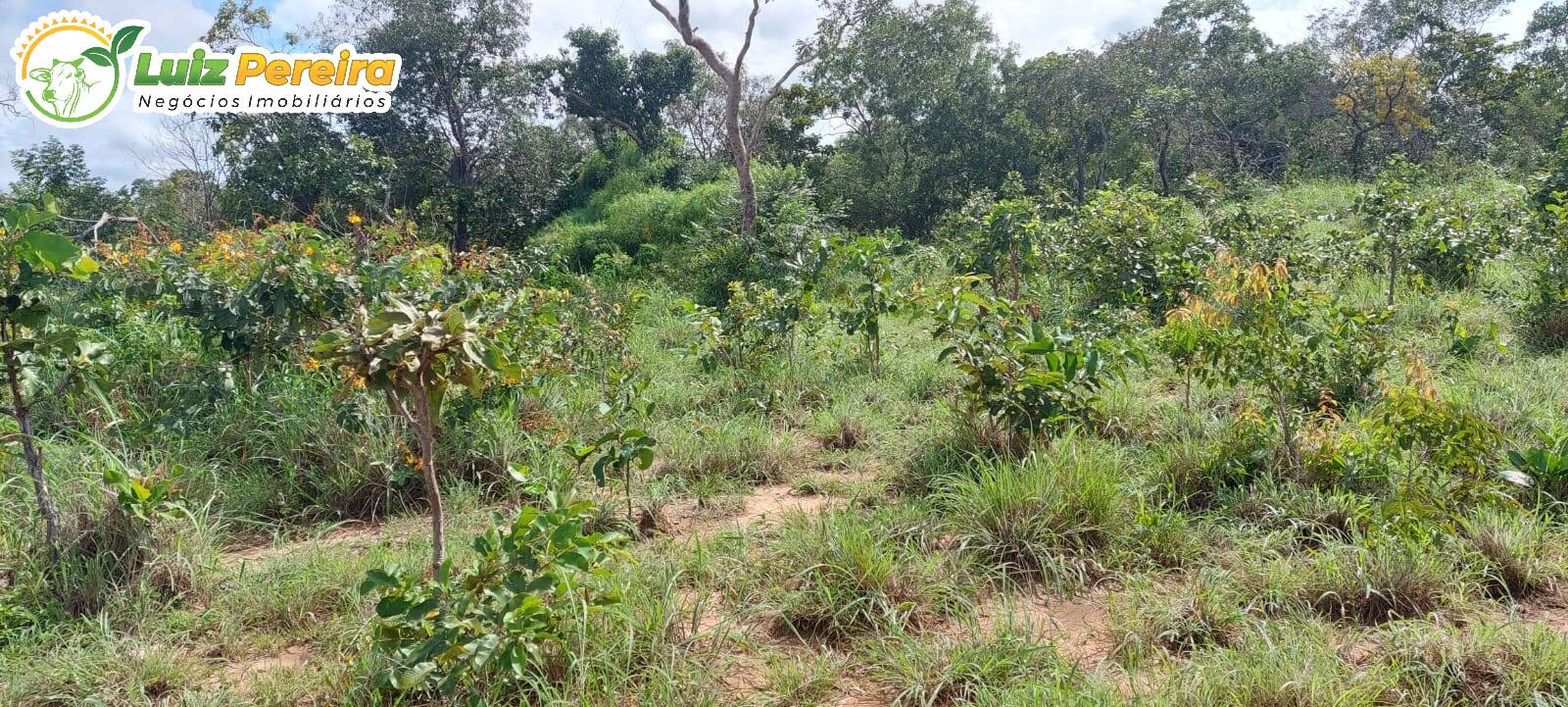 Terreno à venda, 150m² - Foto 2