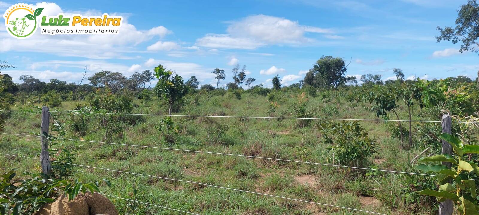 Terreno à venda, 150m² - Foto 3