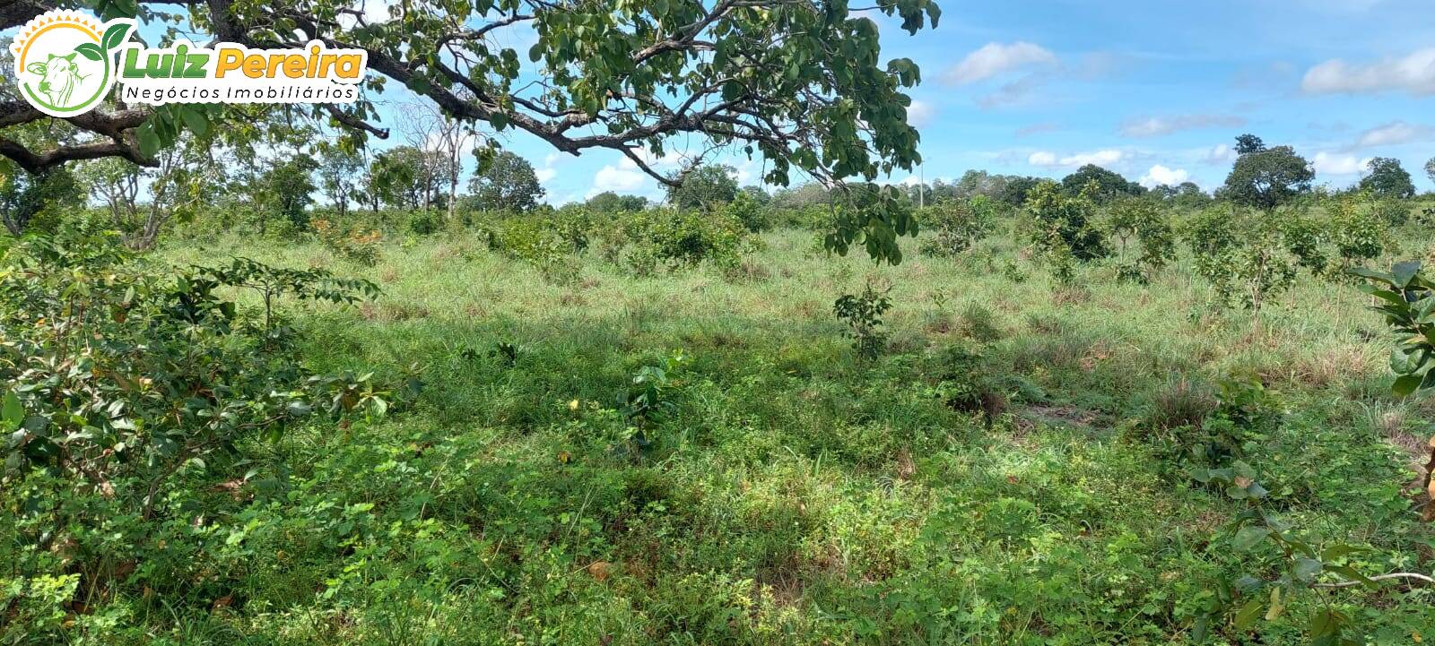 Terreno à venda, 150m² - Foto 4