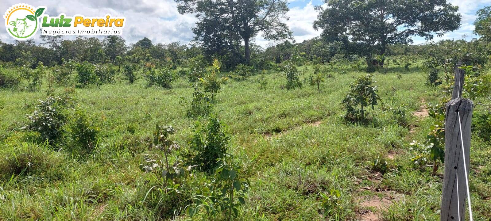 Terreno à venda, 150m² - Foto 7