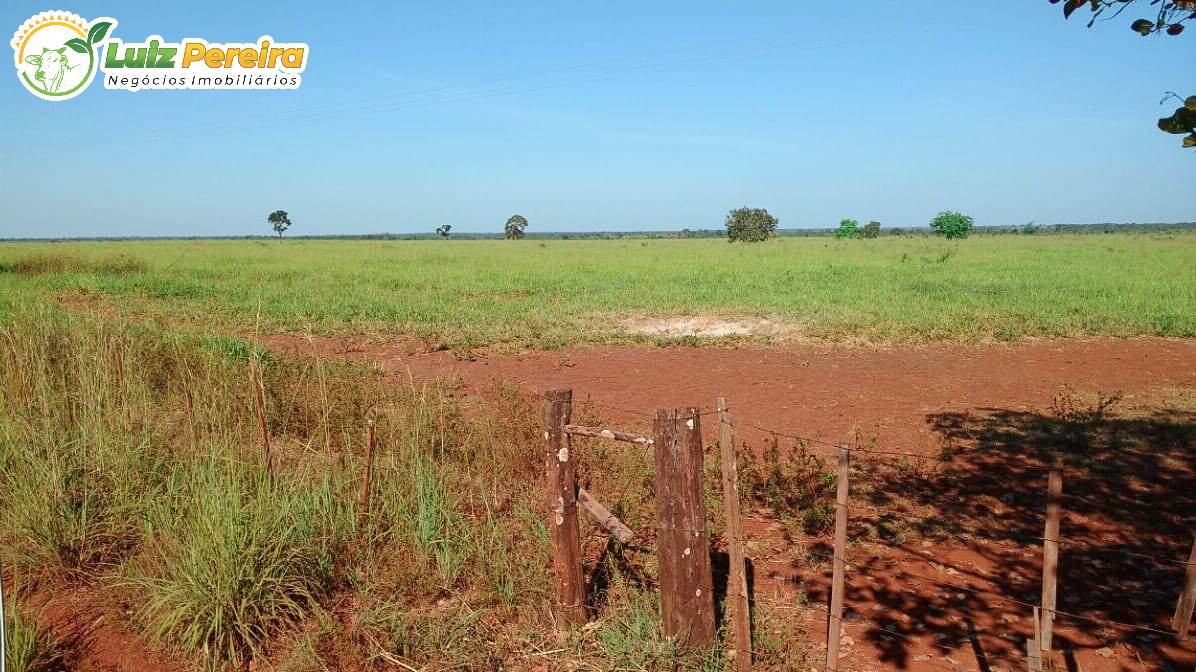 Terreno à venda, 29739m² - Foto 8