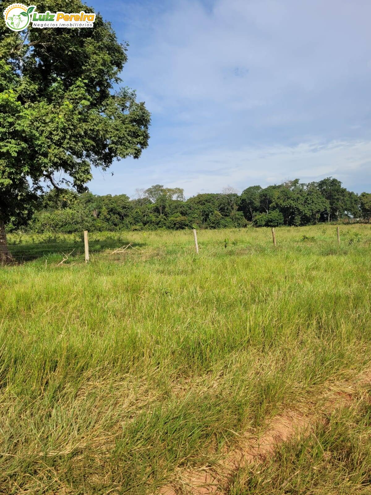 Terreno à venda, 1200000m² - Foto 5