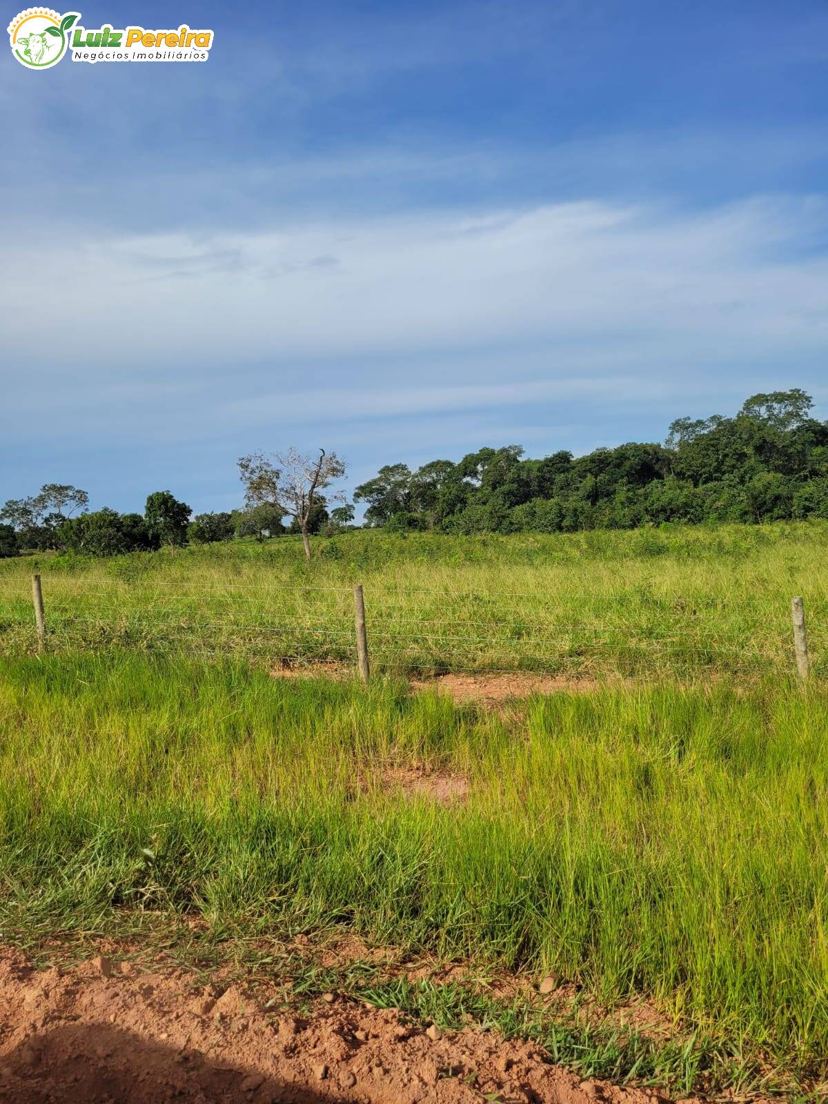 Terreno à venda, 1200000m² - Foto 6