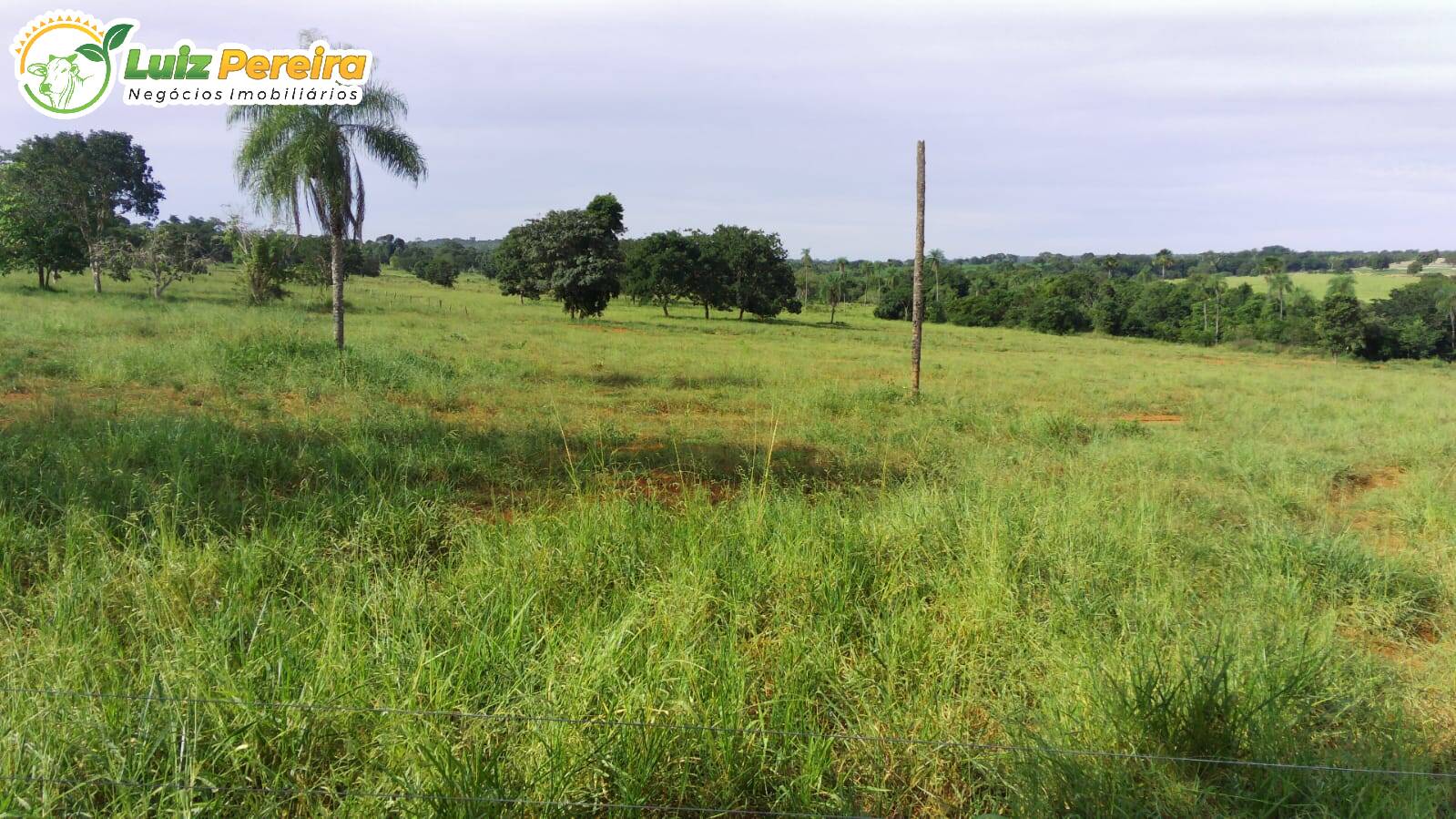 Terreno à venda, 1200000m² - Foto 4