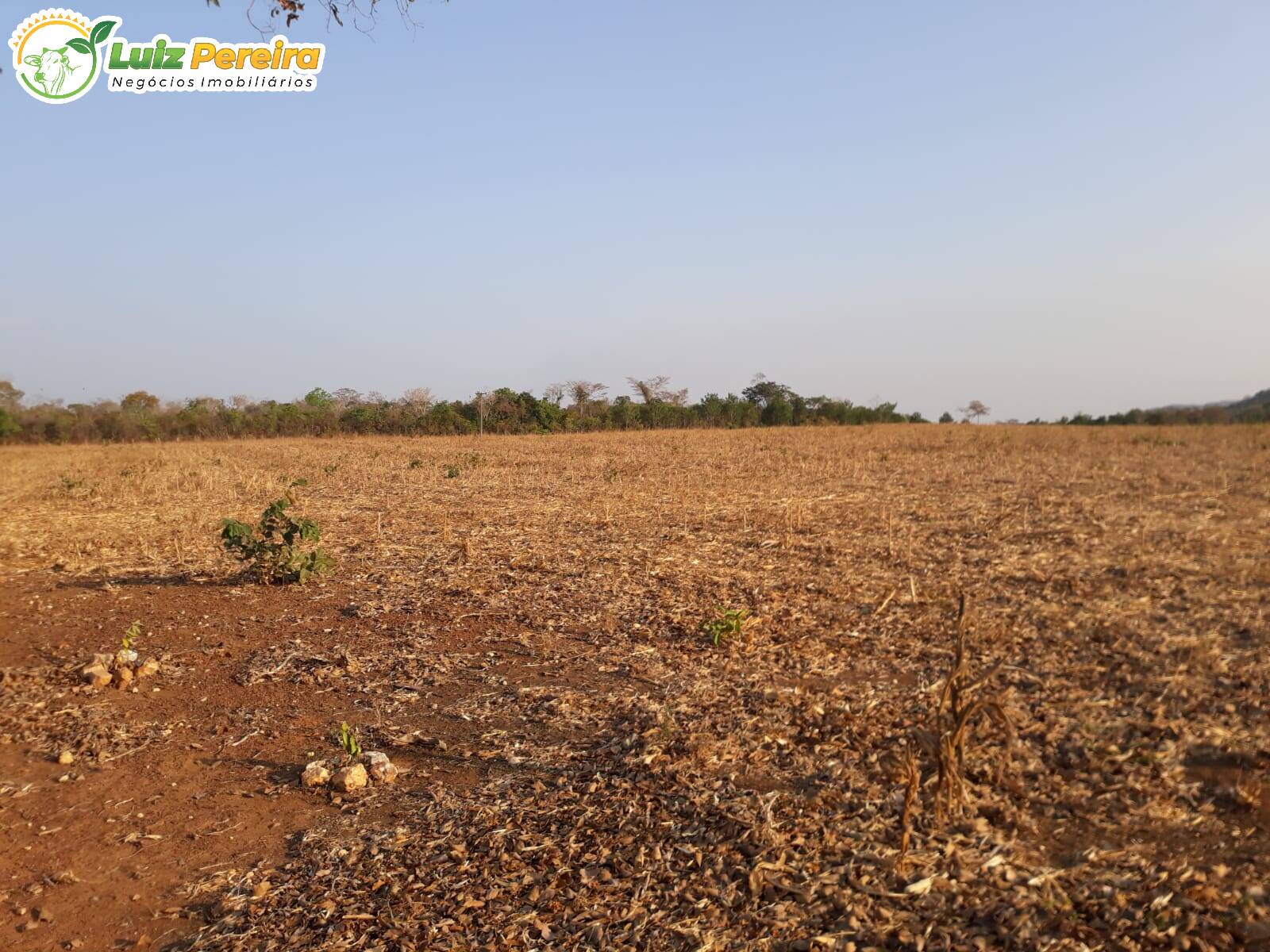 Terreno à venda, 3388000m² - Foto 2