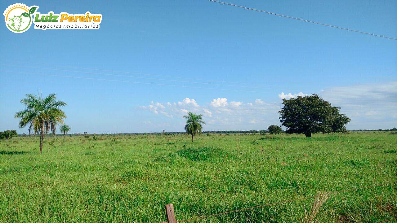 Fazenda-Sítio-Chácara, 3 hectares - Foto 4